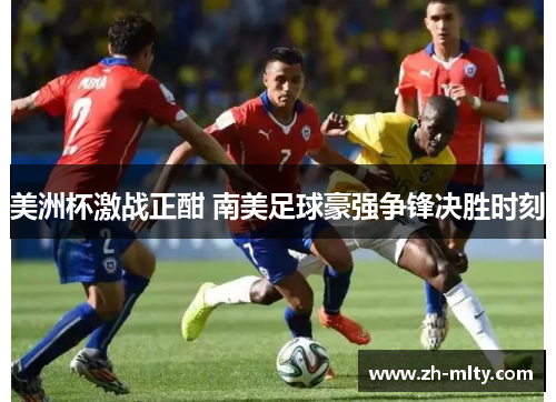 美洲杯激战正酣 南美足球豪强争锋决胜时刻