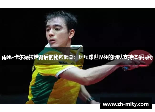 雨果·卡尔德拉诺背后的秘密武器：乒乓球世界杯的团队支持体系揭秘
