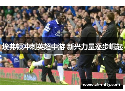 埃弗顿冲刺英超中游 新兴力量逐步崛起 埃弗顿冲刺英超中游 新兴力量逐步崛起