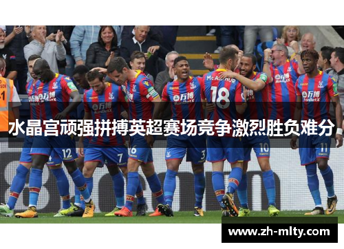 水晶宫顽强拼搏英超赛场竞争激烈胜负难分