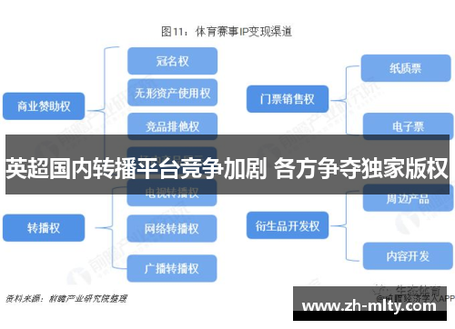 英超国内转播平台竞争加剧 各方争夺独家版权